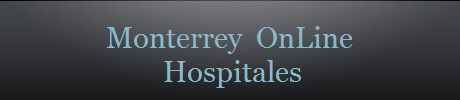 Monterrey  OnLine
 Hospitales